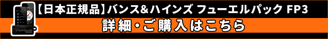 【日本正規品】バンス＆ハインズ■フューエルパック FP3