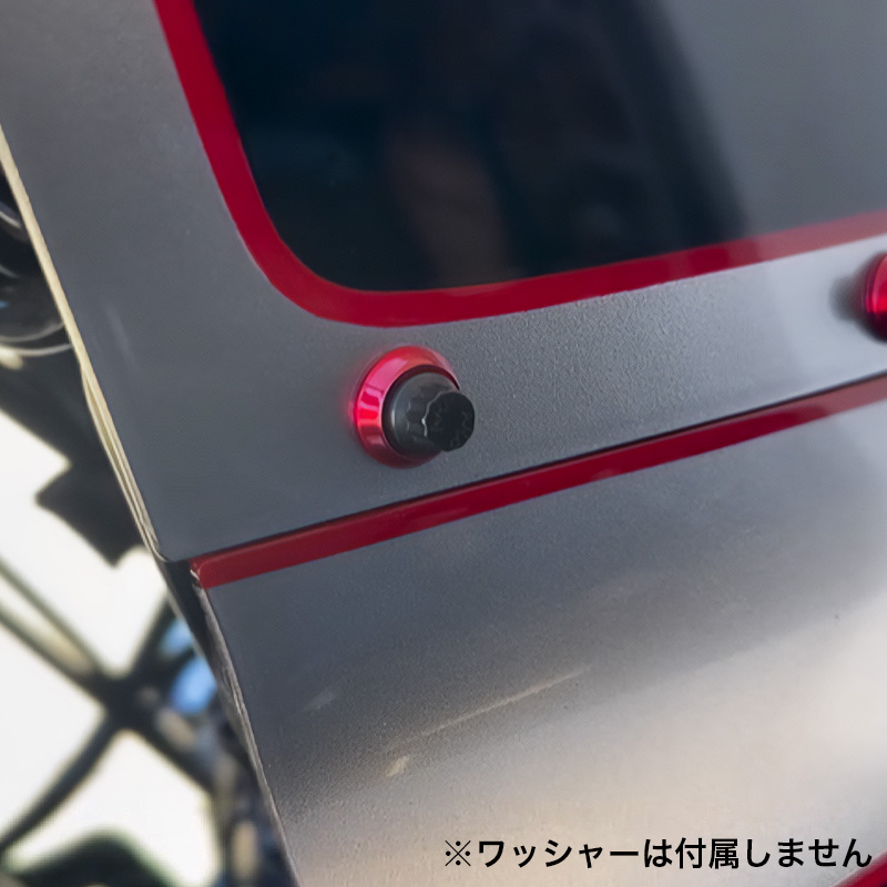 ARPボルトキット メンフィスシェード製フェアリング用