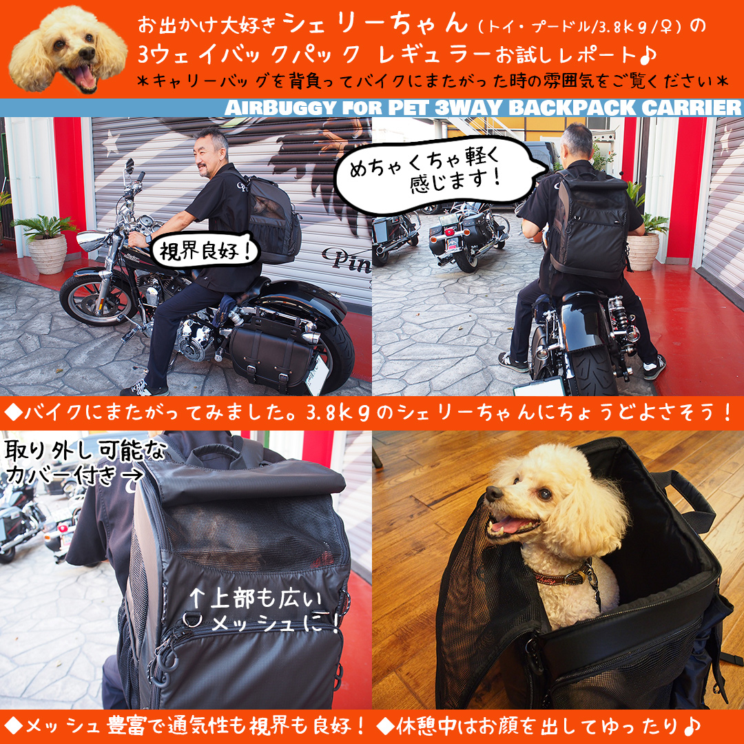 再入荷 予約販売 ペットキャリー リュック エアバギー スリーウェイ バックパック キャリー ワイド Airbuggy 3way Backpack Carrier Wide Witravel It