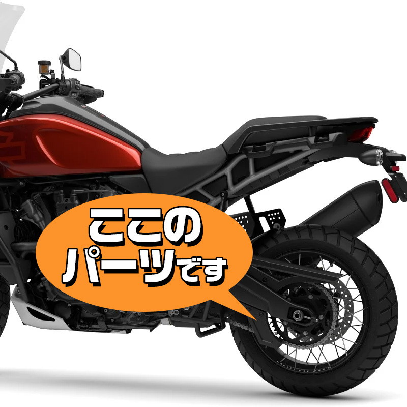 スピードラ■ ドライカーボン チェーンガード 綾織り 【パンアメリカ（RA1250）】 SPEEDRA