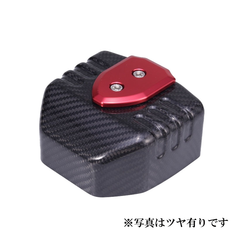 SPEEDRA スピードラ テールライトカバー ドライカーボン タイプ：平織り艶あり Ninja H2 SX Ninja H2 SX SE KAWASAKI カワサキ シートカウル・テールカウル