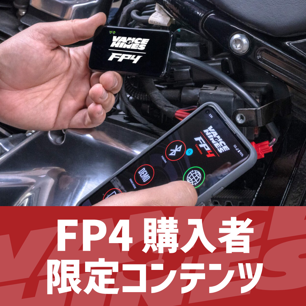 FP4購入者限定コンテンツ【無料】