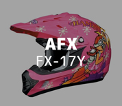 AFX FX-17Y