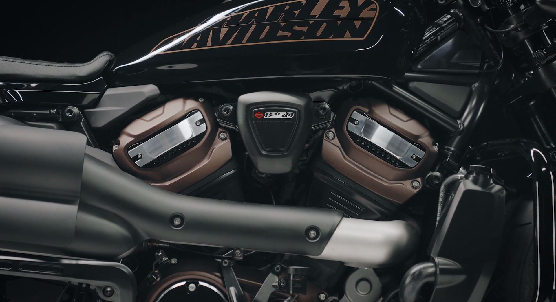 ハーレー純正□スポーツスターS(RH1250S)・パンアメリカ用 ワイルド 