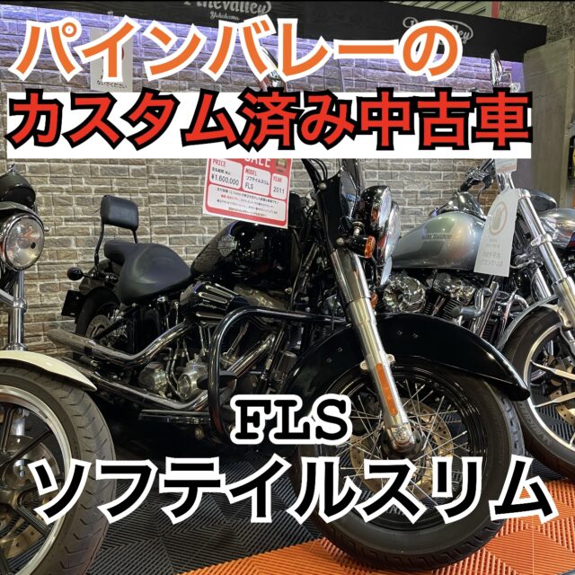 中古車情報 パインバレー