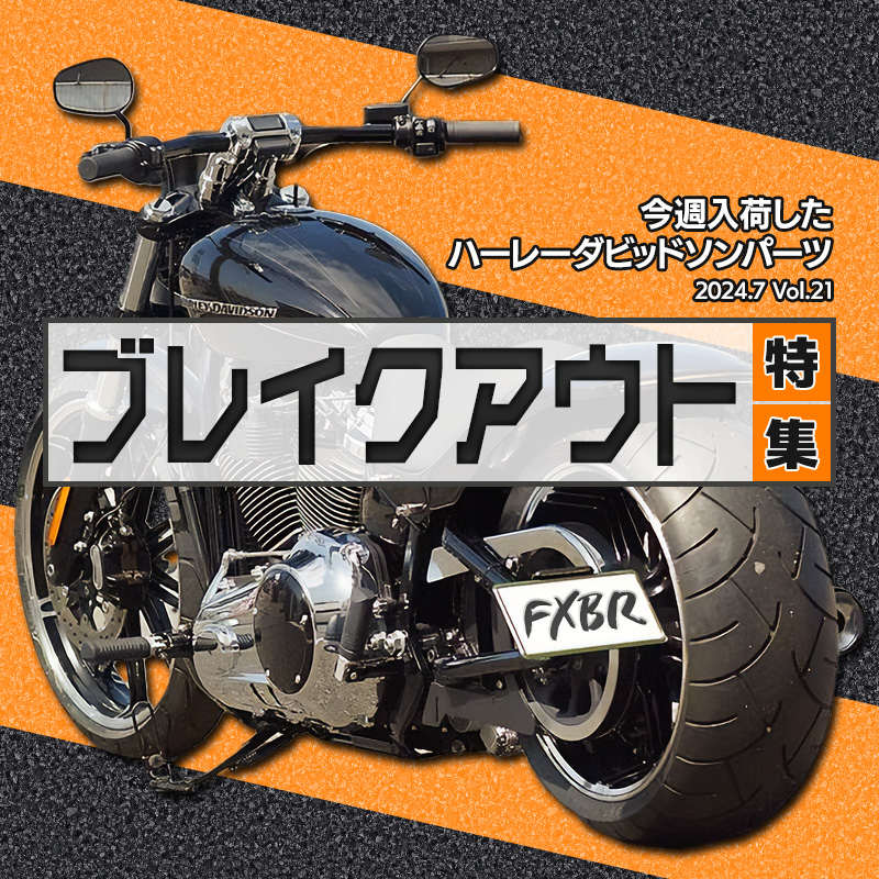見なきゃ損！ブレイクアウト特集！】今週入荷したハーレーダビッドソン 