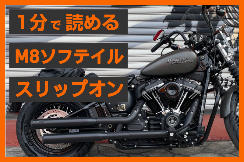 鼓動を引き出す】＜Vance&Hines＞ エリミネーター300 スリップオン 