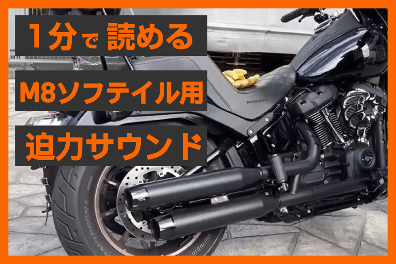 重低音＋スタイルUP】＜クロームワークス＞3.5インチ スリップオン 