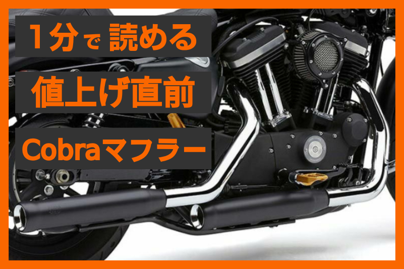 【緊急情報！】＜コブラ（Cobra）＞「ネイバーヘイター」 3インチ スリップオンマフラー