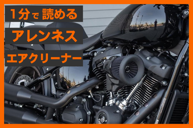 【ハイフロー型!】<アレンネス>「ヴェロシティ65° エアクリーナー」