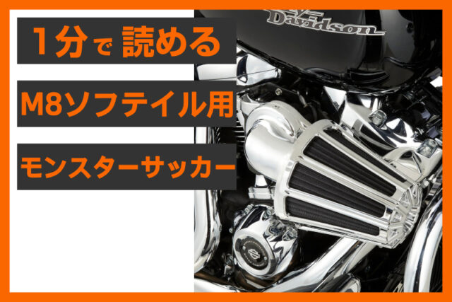 【圧倒的な存在感】＜アレンネス＞ 「10ゲージ モンスターサッカー」