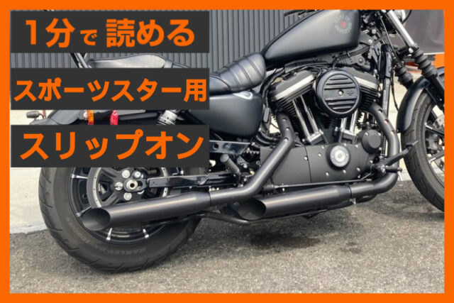 【厚みのある重低音】〈クロームワークス〉3インチ HP-PLUS スリップオン スラッシュカット ブラック