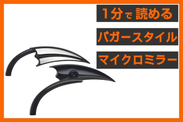 【コンパクトな存在感】〈アレンネス〉スクープ マイクロミラー ブラック
