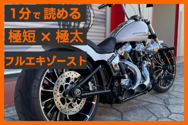 【短くて太い美学】〈ブローパフォーマンス〉カットバック フルエキゾースト（M8ソフテイル用）