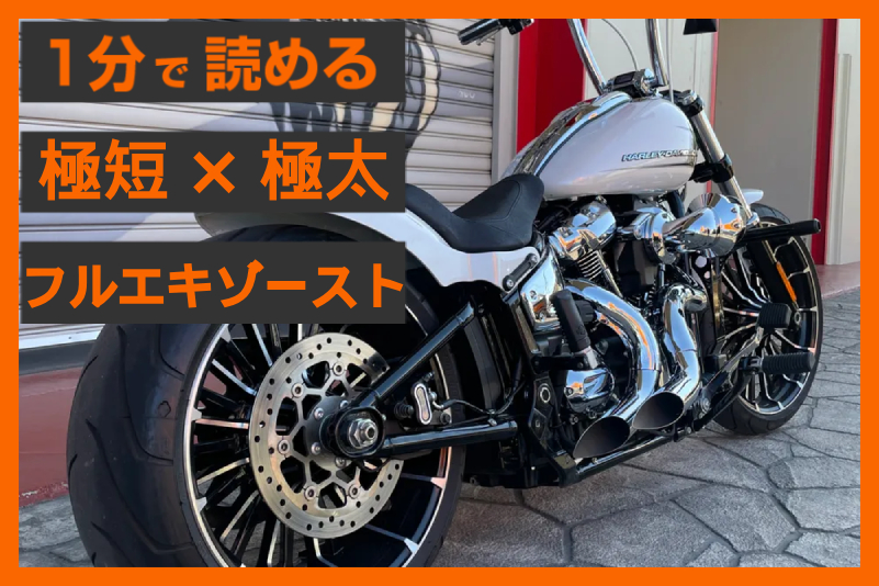 【短くて太い美学】〈ブローパフォーマンス〉カットバック フルエキゾースト(M8ソフテイル用)