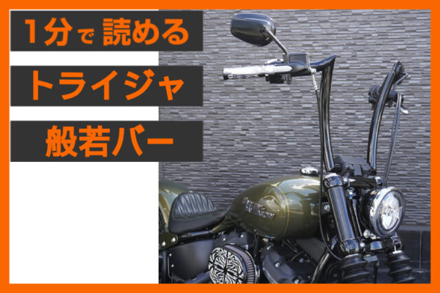 【畏怖 × 美麗】＜トライジャ＞「般若バー 14インチナロー」