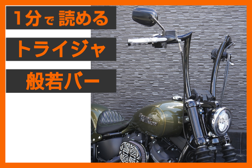 【畏怖 × 美麗】＜トライジャ＞「般若バー 14インチナロー」