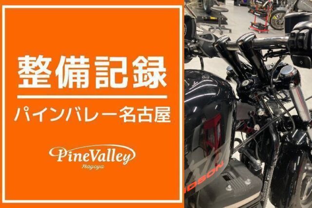 【名古屋店】XL1200X(トリプルツリー パウダーコート)