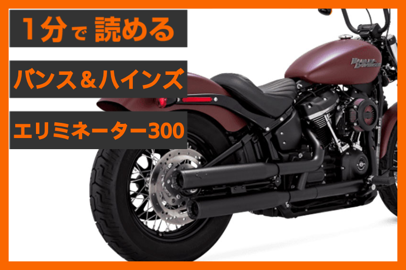 【高次元のバランス型マフラー】＜バンス＆ハインズ＞「エリミネーター300」