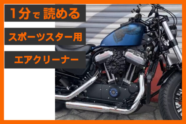 【吸気の進化系】＜アレンネス ＞「15スポーク インバーテッド エアクリーナー」