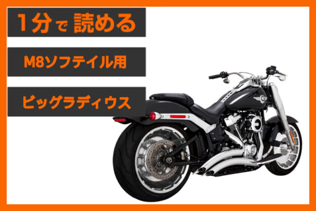 【ワイドタイヤモデルの王道】＜バンス＆ハインズ＞「ビッグラディウス」