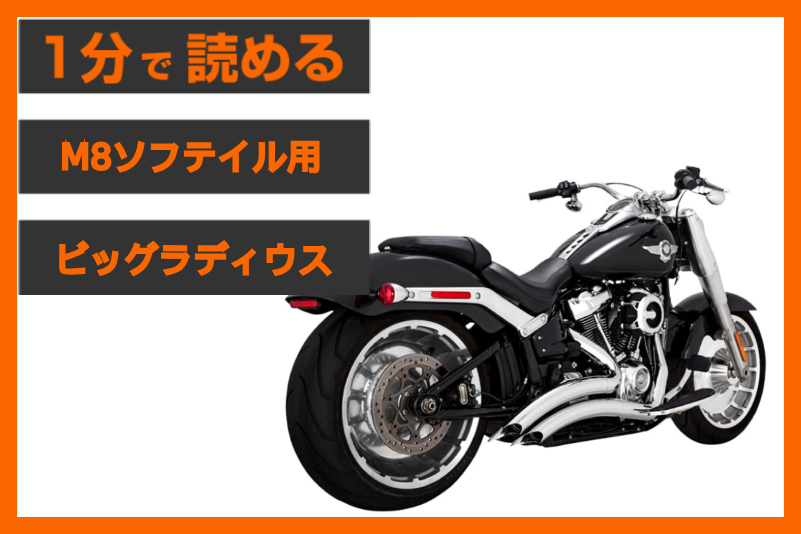 【ワイドタイヤモデルの王道】＜バンス＆ハインズ＞「ビッグラディウス」