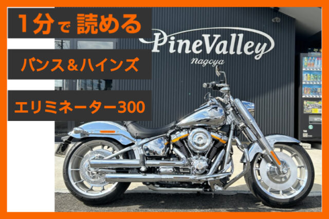 【上質な重低音】＜バンス＆ハインズ＞「エリミネーター300」