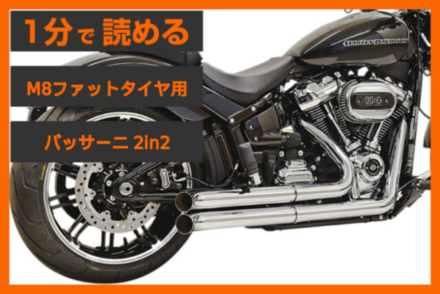 【艶やかな2in2】＜バッサーニ＞「プロストリート・ターンアウト」