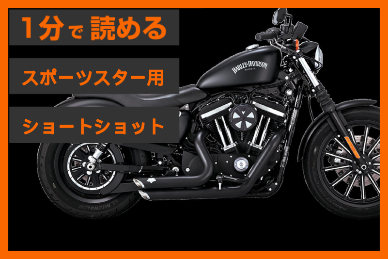SALE：29%OFF】＜バンス＆ハインズ＞「ショートショット」 | パインバレー