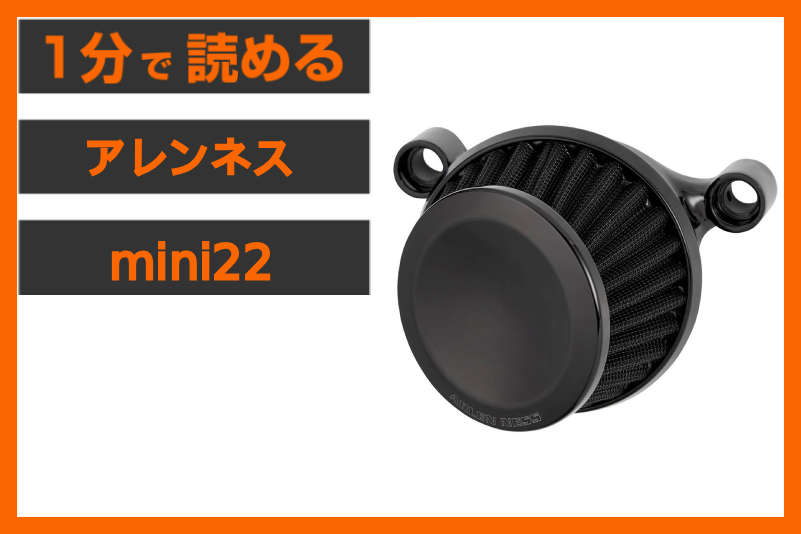 【小さいことの大きな価値】＜アレンネス＞「ミニ22」エアクリーナー