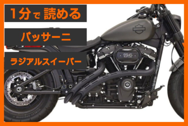 【独創的なデザイン】＜バッサーニ＞「ラジアルスイーパー」