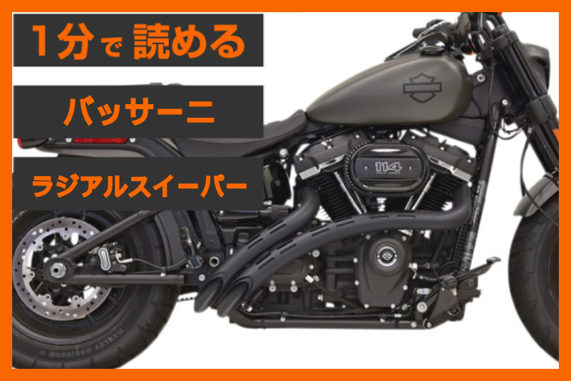 【独創的なデザイン】＜バッサーニ＞「ラジアルスイーパー」