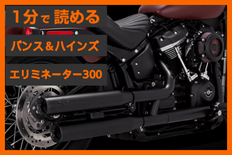 【今なら21%OFF！】＜バンス＆ハインズ＞「エリミネーター300」