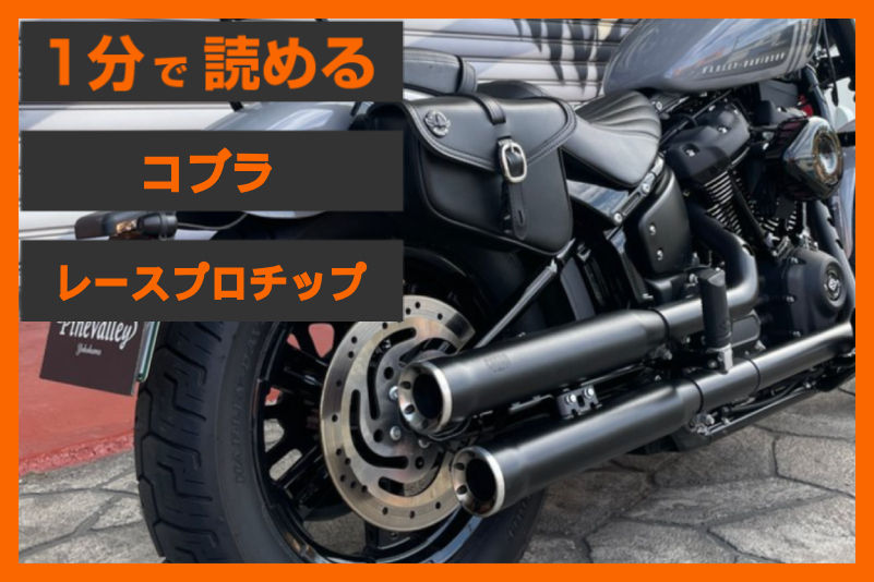 【売上No.1】＜コブラ＞「RPT 3インチ スリップオンマフラー」