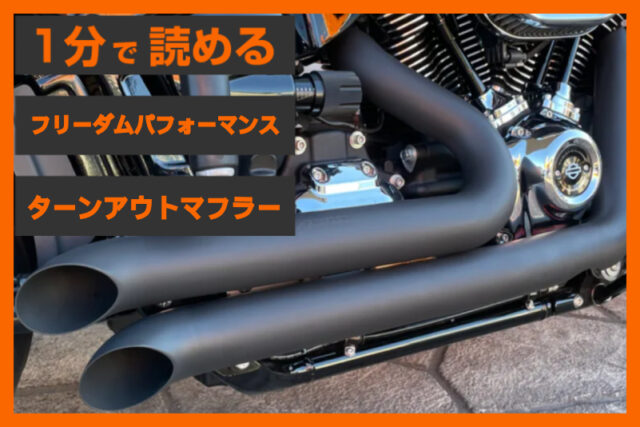 【孤高の存在】＜フリーダムパフォーマンス＞「デクラレイション ターンアウト」